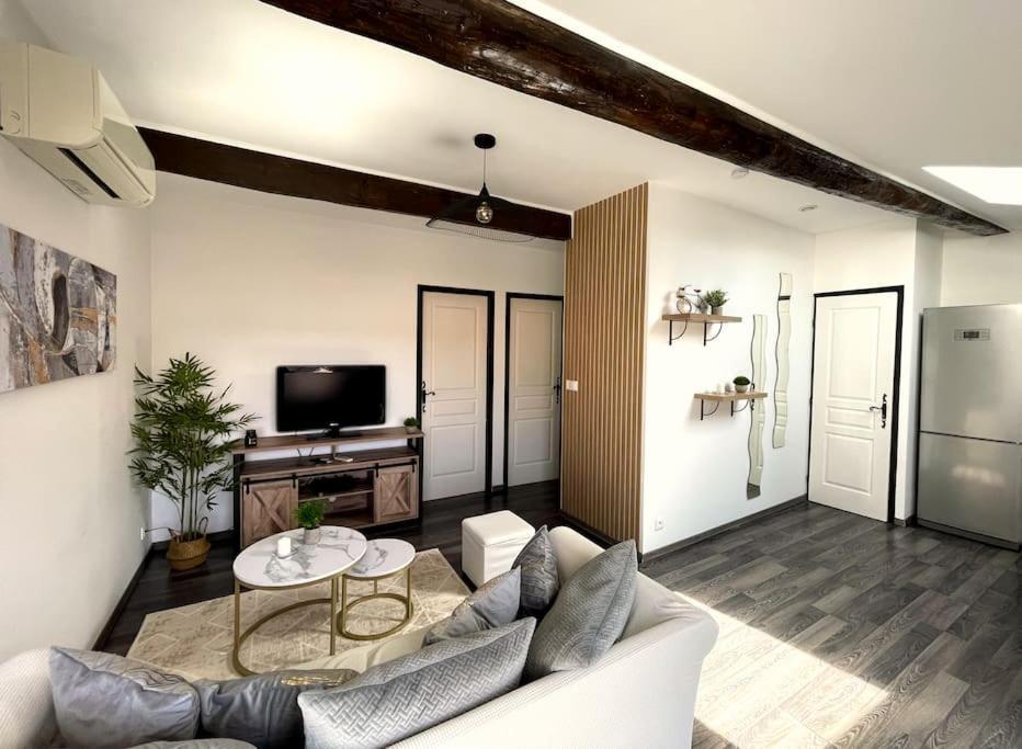 Charme Urbain Sous Les Toits-Terrasse/Clim/Parking Lägenhet Béziers Exteriör bild